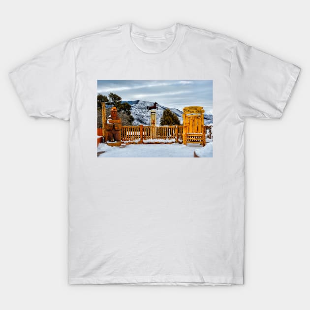 Glenwood Springs Park T-Shirt by bobmeyers